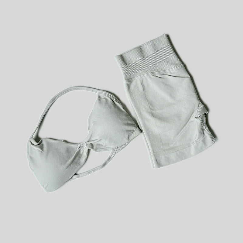 Impact Gym Set Women 2 Piece Sets Halter Neck Tank Tops High Waist Scrunch Seamless Shorts Sport Suit Sportswear Workout Set